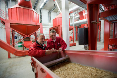 Produktion von Holzpellets