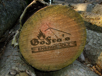 Holzstämme